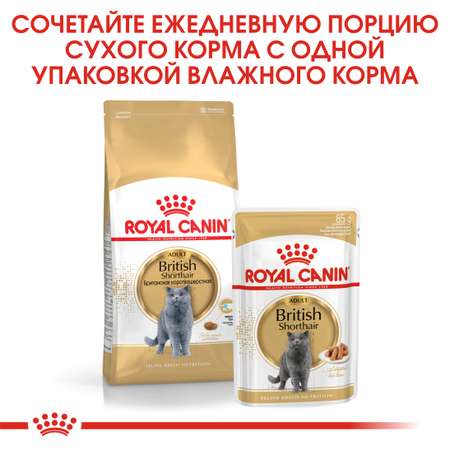 Корм для кошек ROYAL CANIN Брит соус 85г