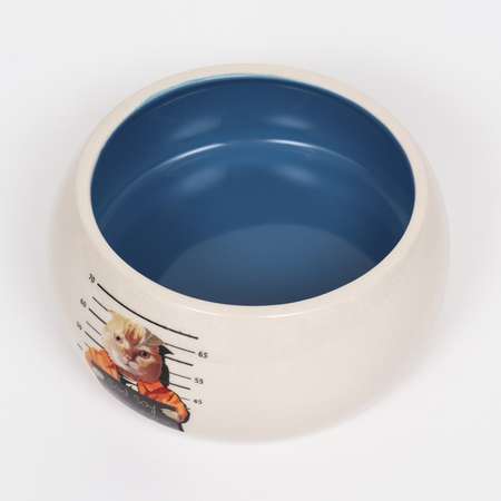 Миска Пижон керамическая со скошенным краем «Tasty» 200мл 10.5х5.6 см голубая