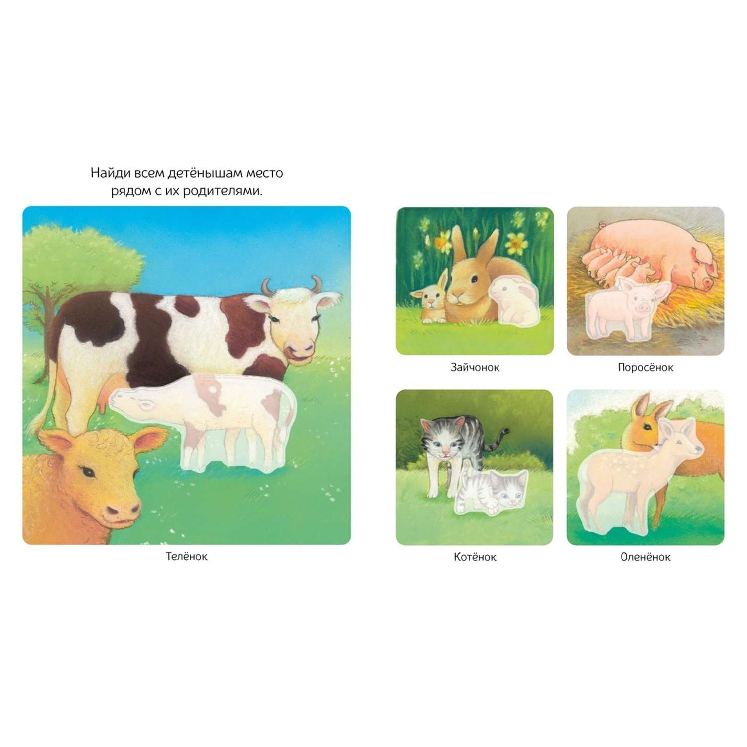 Книга Раннее развитие малыша Детёныши животных с наклейками - фото 2