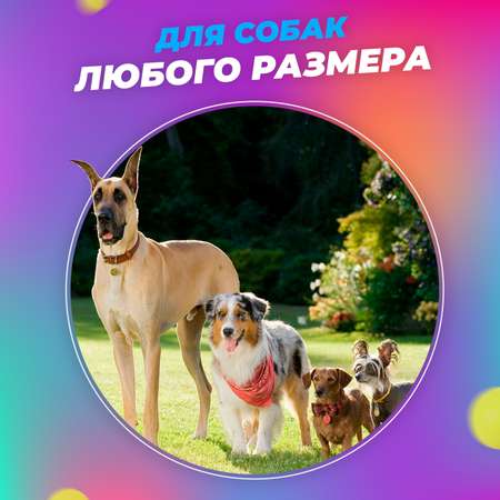 Игрушка для собак Woof мяч резиновый синий