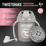 Поильник-непроливайка Twistshake 230мл с 4месяцев Серый