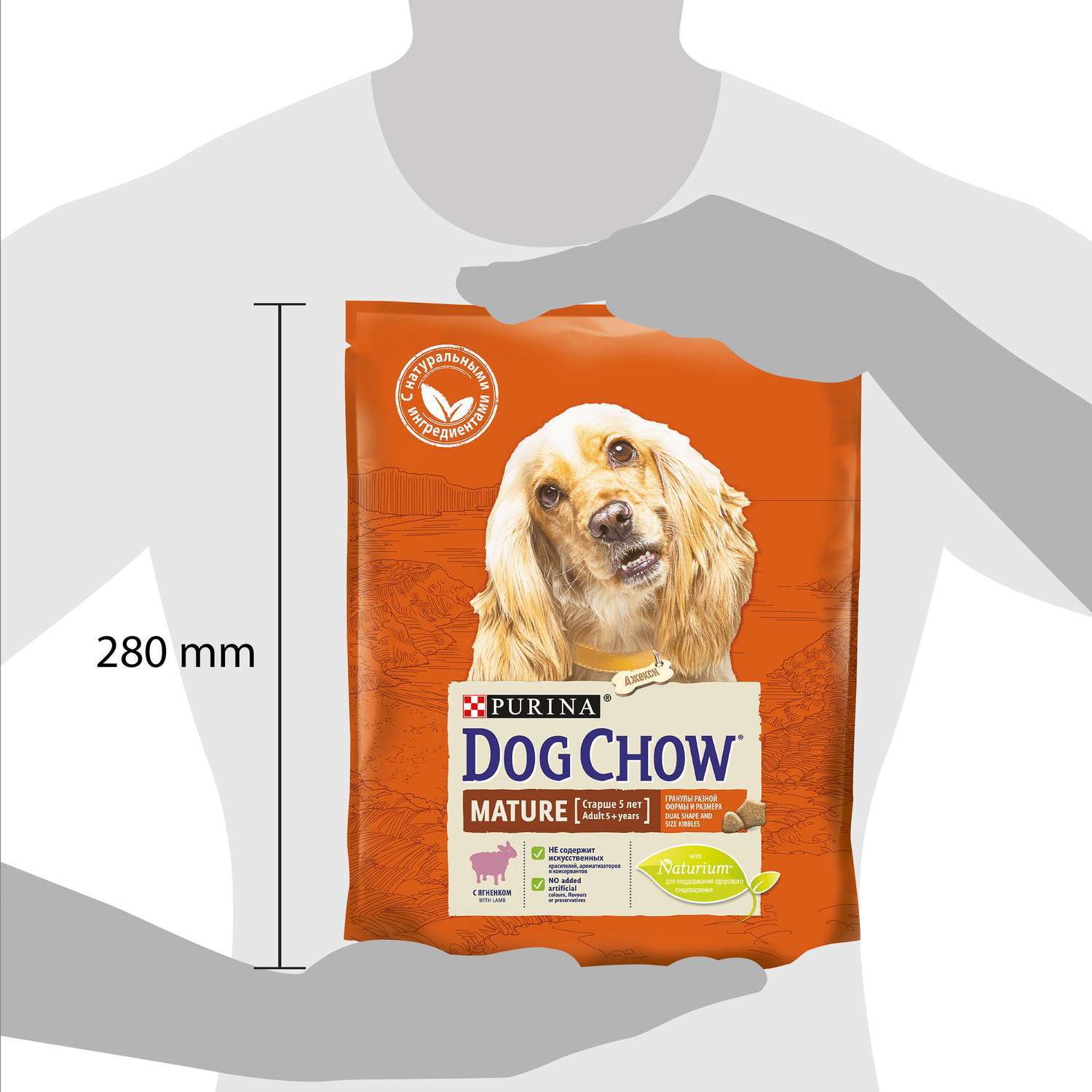 Корм для собак Dog Chow с ягненком 800г 60049 - фото 3