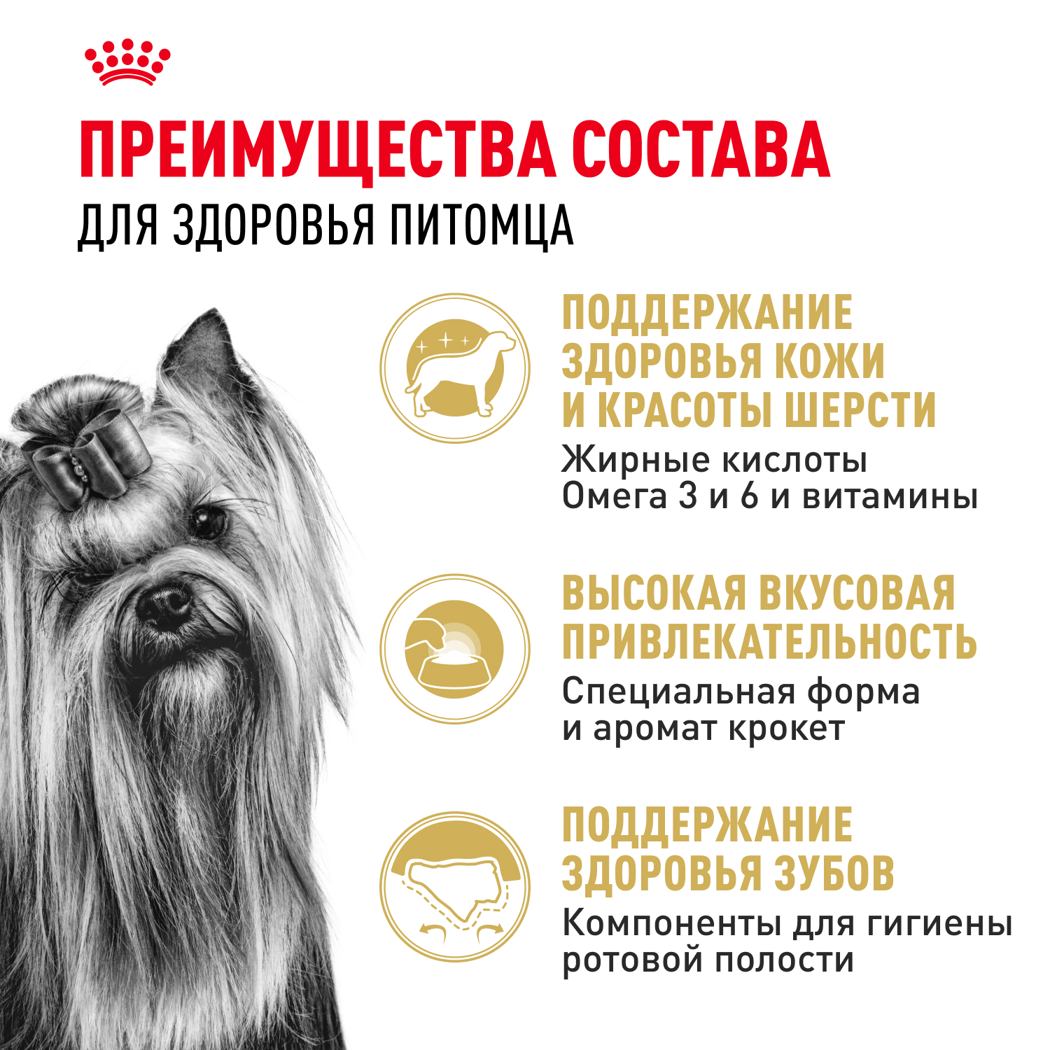 Сухой корм для собак ROYAL CANIN 1.5 кг (полнорационный) - фото 4