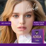 Цветные контактные линзы ADRIA Color 2T 2 линзы R 8.6 Gray без диоптрий