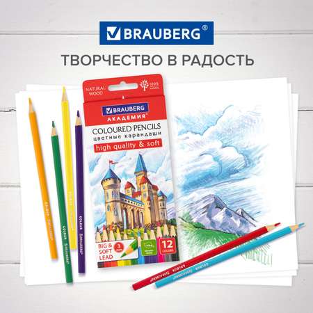 Карандаши цветные Brauberg для рисования набор 12 цветов деревянные мягкие