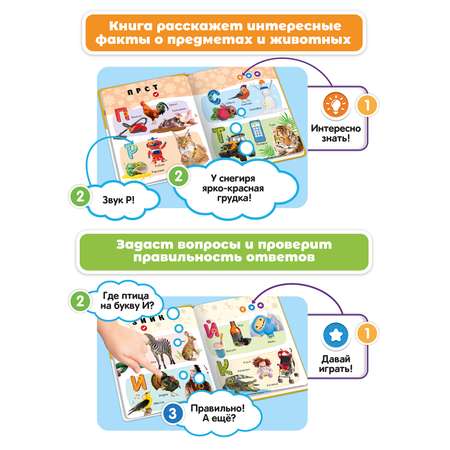 Комплект говорящих книжек BertToys Нажималки: Цвета + Русский алфавит