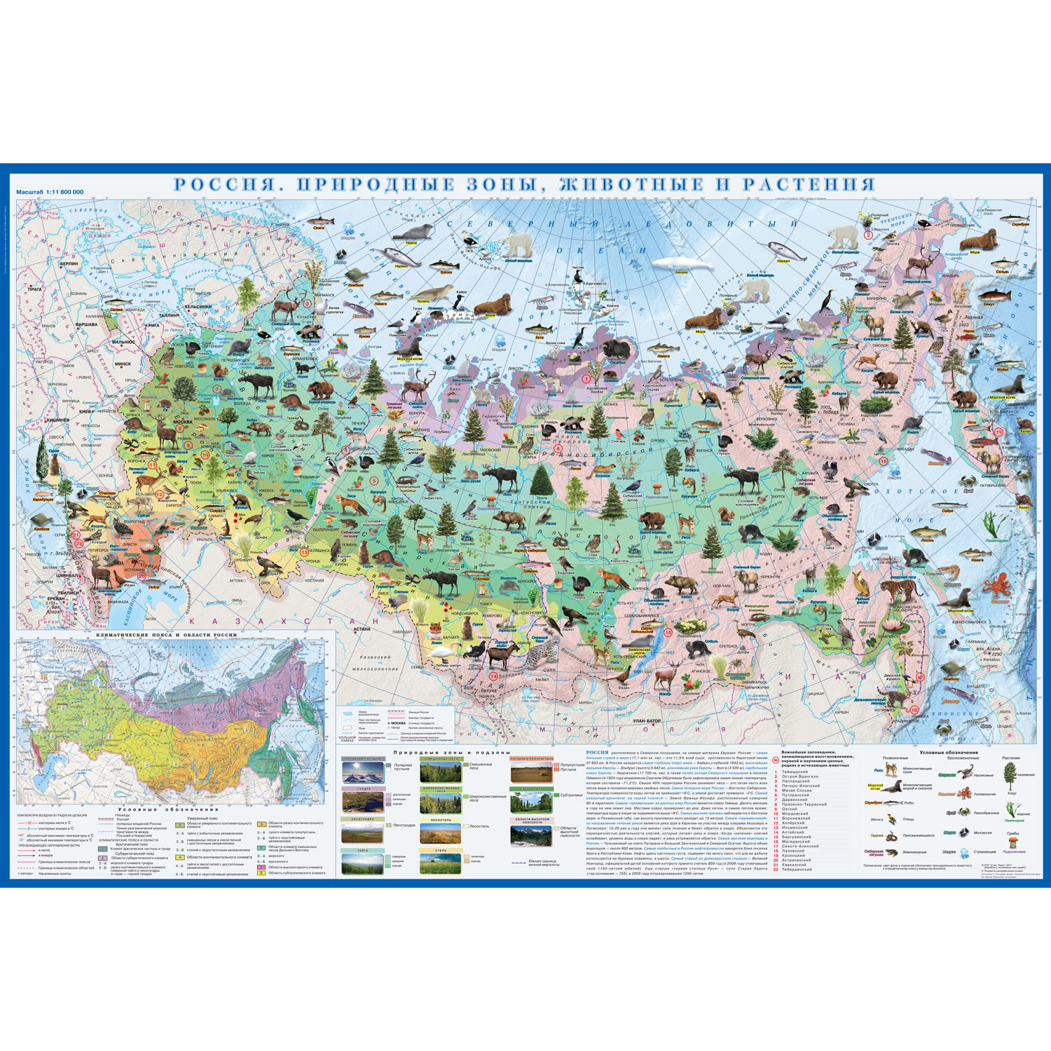 Карта настенная Атлас Принт Россия. Природные зоны животные и растения  1.0x0.7 м