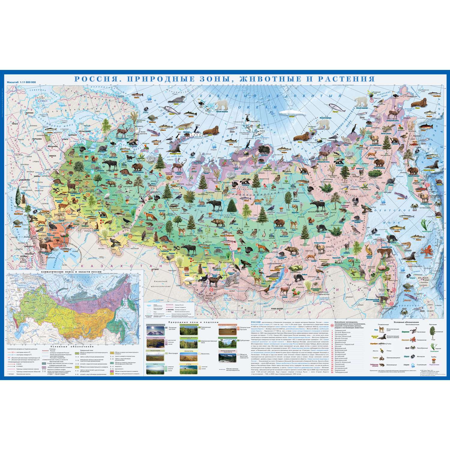 Карта настенная Атлас Принт Россия. Природные зоны животные и растения 1.0x0.7 м - фото 1