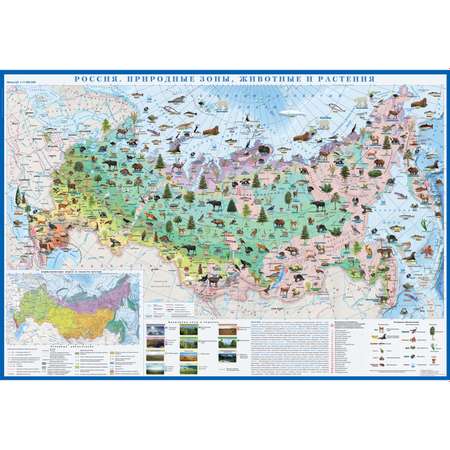 Карта настенная Атлас Принт Россия. Природные зоны животные и растения 1.0x0.7 м