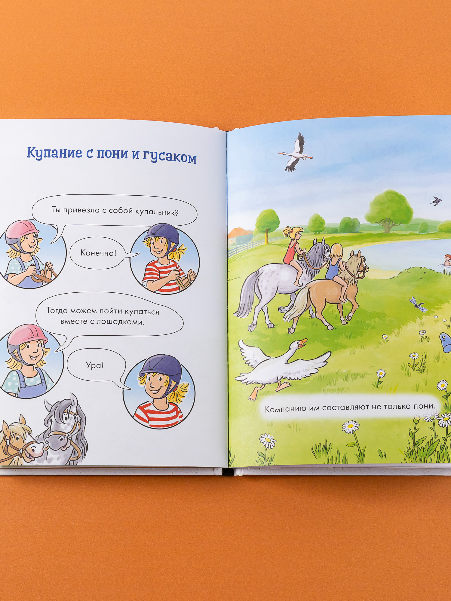 Книга Альпина. Дети Комиксы с Конни Приключения на ферме - фото 5