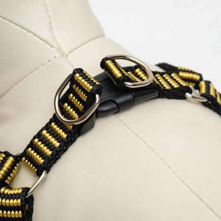 Комплект Пижон рельефный 1.5 см шлейка 36-49 см поводок 120 см жёлто-чёрный