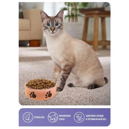 Корм сухой Зоогурман Полнорационный сухой корм для кошек Active Говядина и индейка 0.6 кг