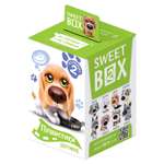 Мармелад Sweet box Щенята игрушка в коробке 10г