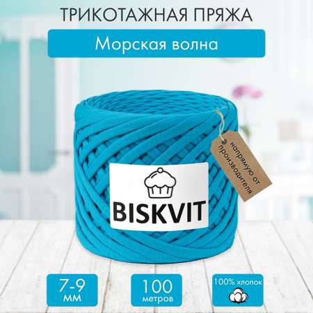 Трикотажная пряжа BISKVIT Морская волна