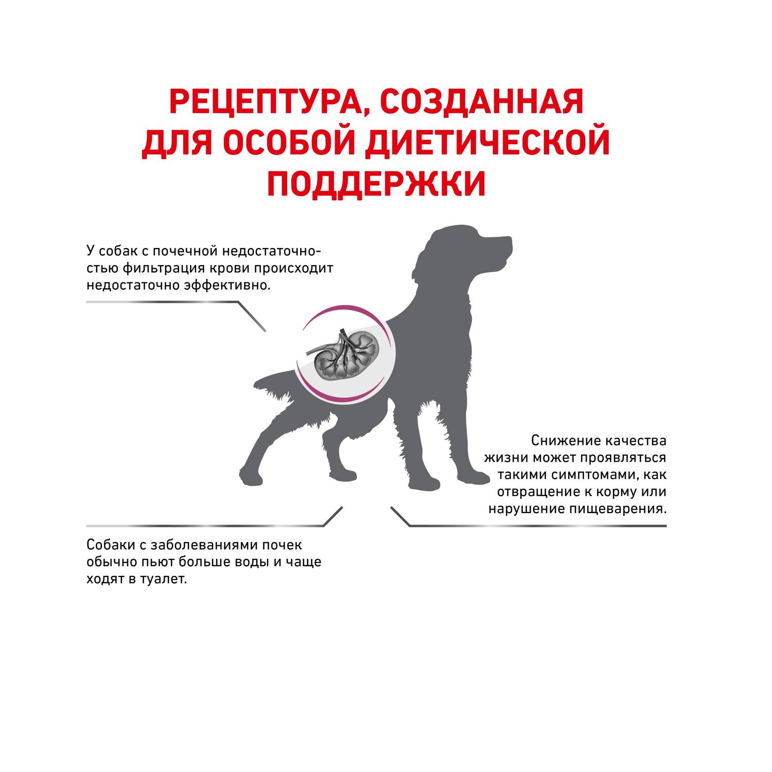 Корм для собак ROYAL CANIN Renal при почечной недостаточности 2кг