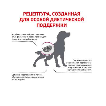 Корм для собак ROYAL CANIN Renal при почечной недостаточности 2кг