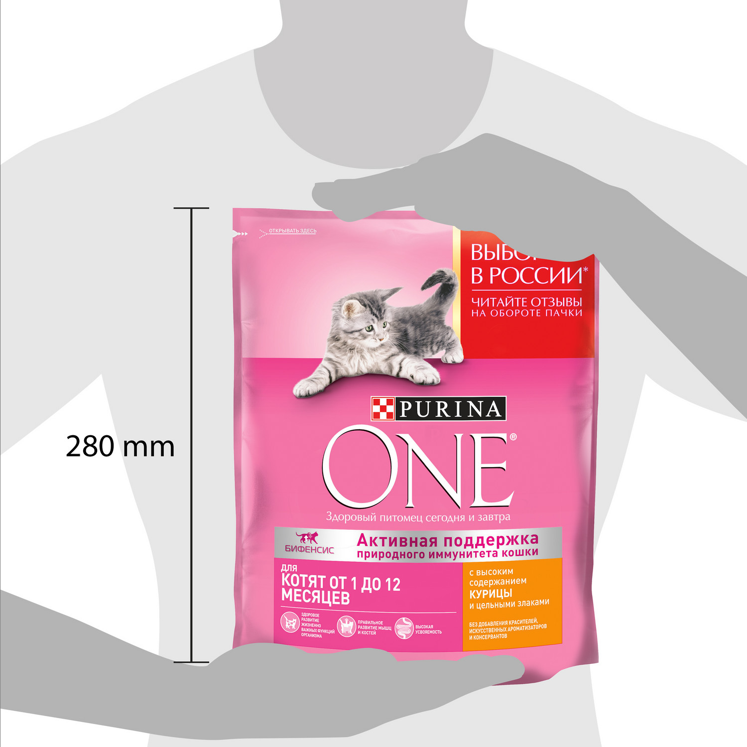 Корм для котят Purina One курица-злаки 750г