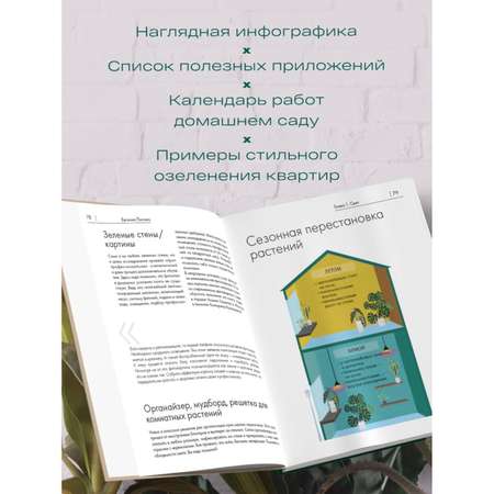 Книга БОМБОРА Заклинатель комнатных растений