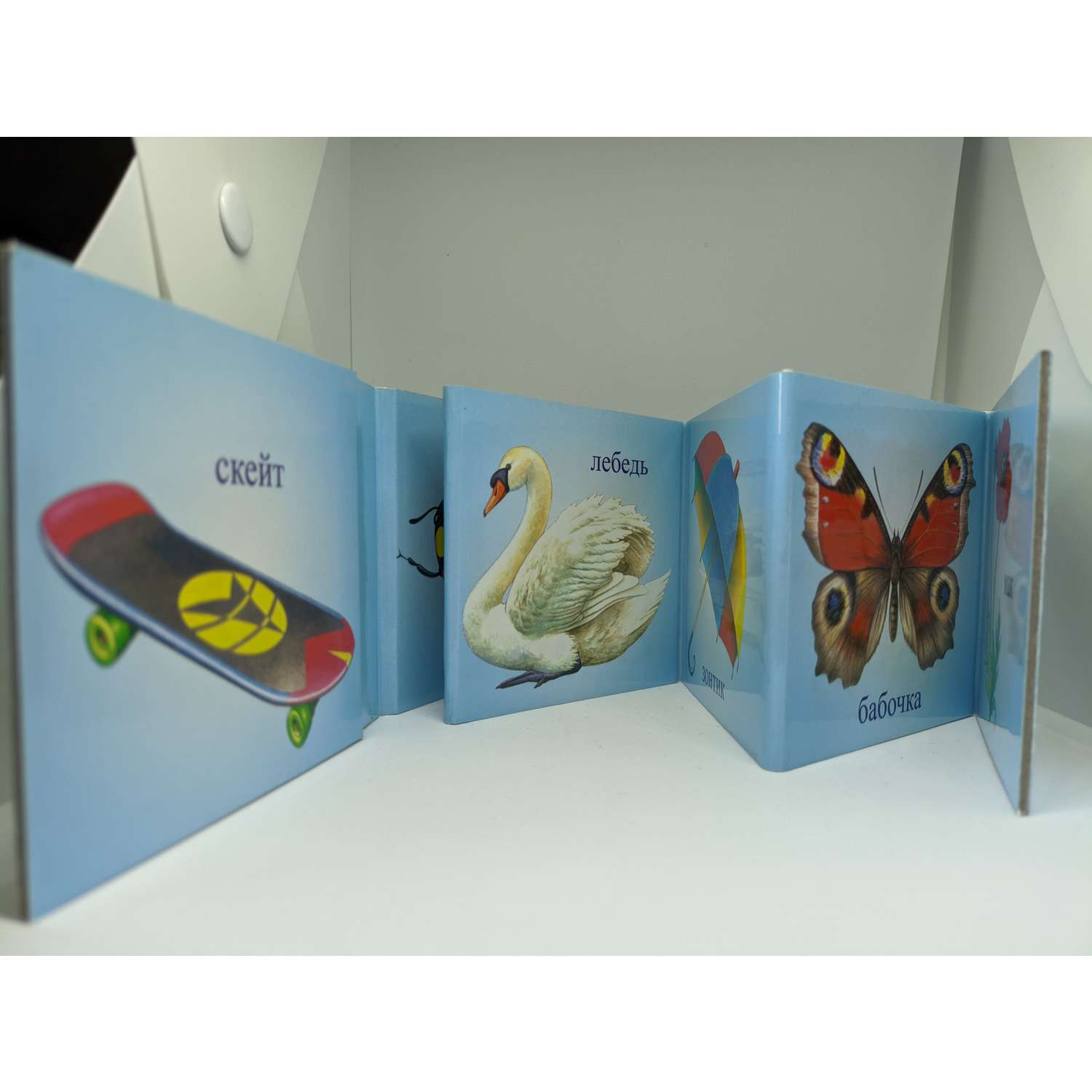 Набор Мирта-Принт Книжки-раскладушки для детей 1-3 лет. Комплект. На прогулке. Машины. Фрукты. Ягоды. - фото 10