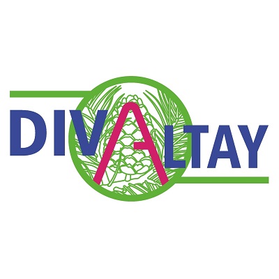 DIVALTAY