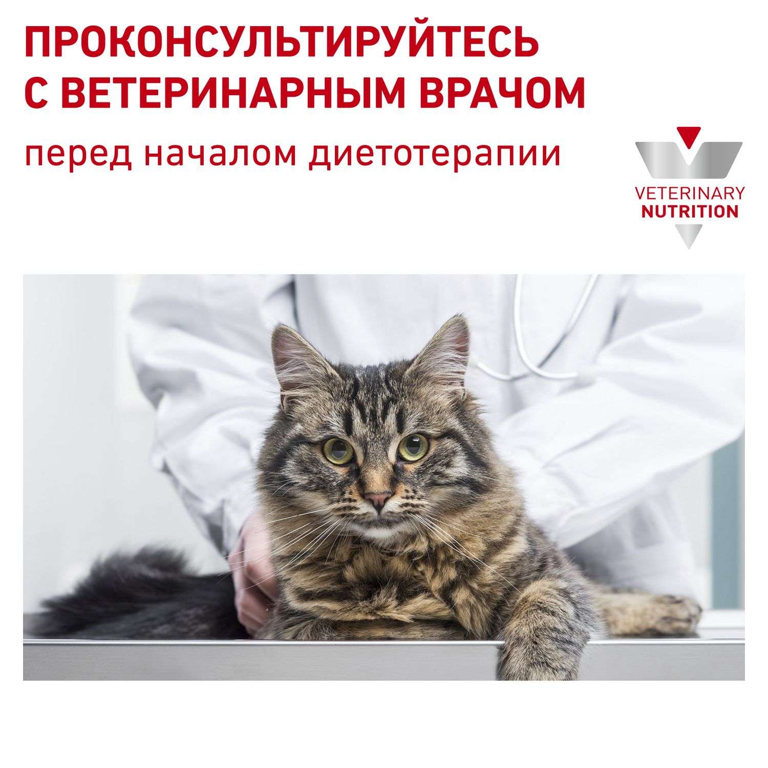 Корм для кошек ROYAL CANIN Early Renal Feline при ранней стадии почечной недостаточности 3.5кг - фото 9