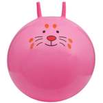 Прыгун мяч Altacto Котик диаметр до 55 см макс. нагрузка 60 кг.