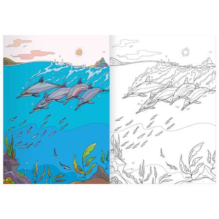 Набор Солнышко Арт развитие логики-внимания-памяти 2 раскраски Морские Млекопитающие Хамелеоны домино