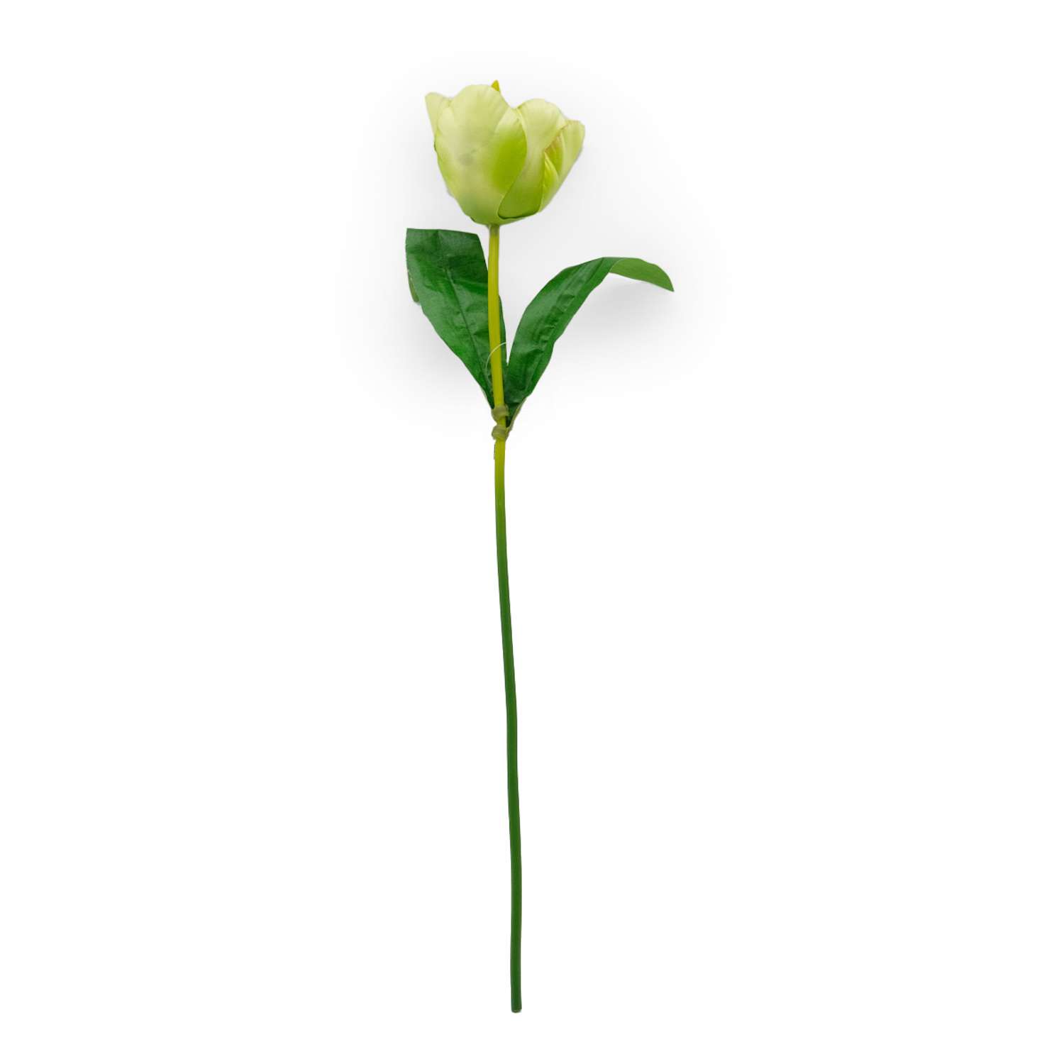 Цветок искусственный Astra Craft Тюльпан 46 см цвет светло - зеленый - фото 3