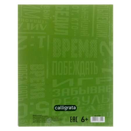 Дневник универсальный Calligrata Футбол. твердая обложка глянцевая ламинация 40 листов