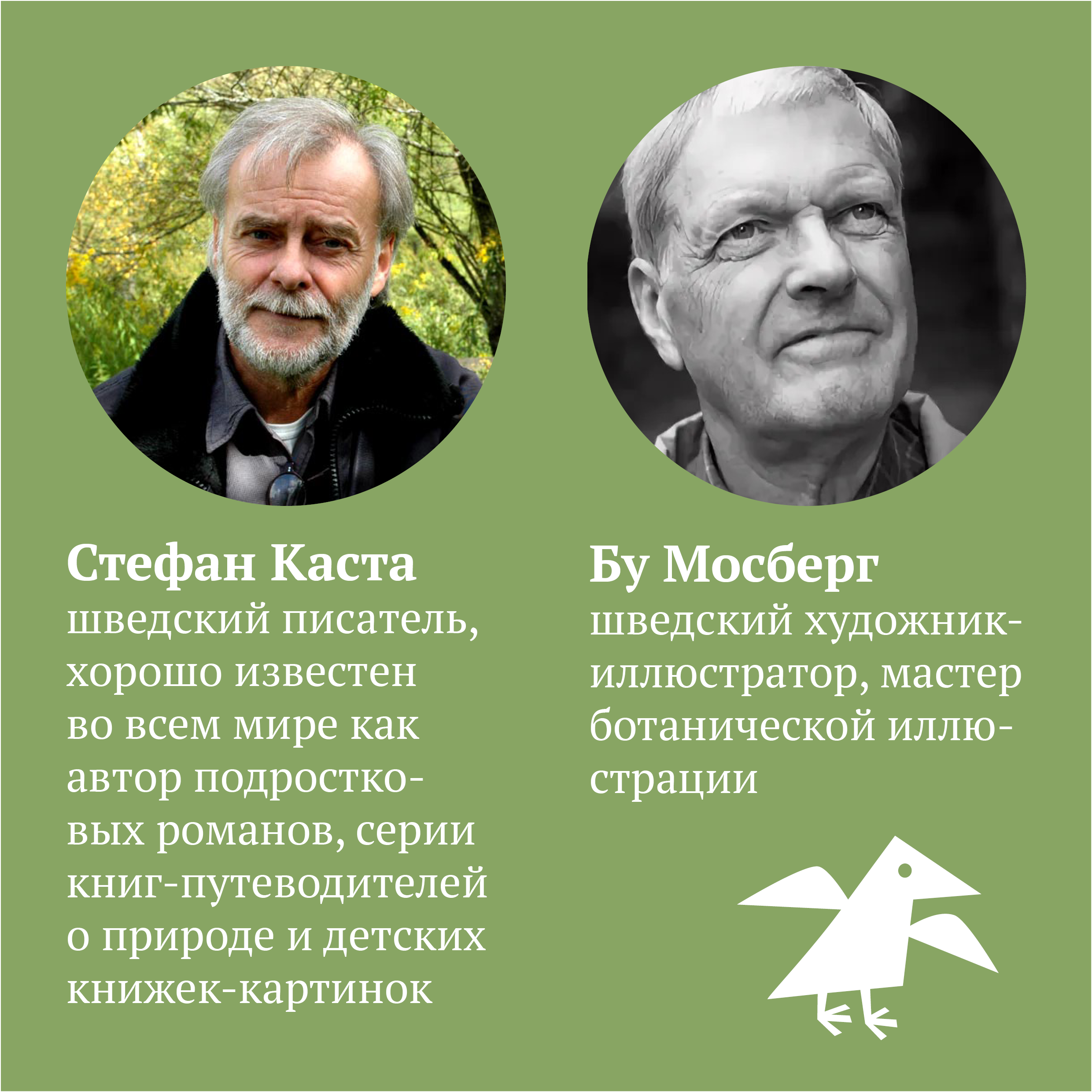 Книга ALBUS CORVUS Софи в мире ягод - фото 7