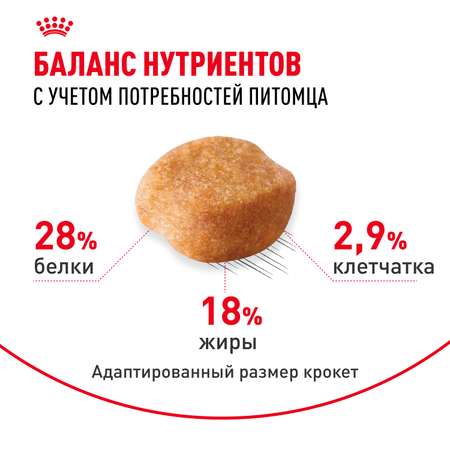 Корм для собак ROYAL CANIN породы йоркширский терьер 3кг