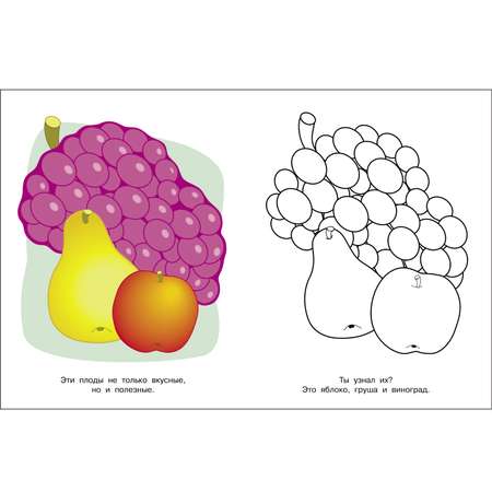 Раскраска Я люблю рисовать 3 5 лет Фрукты и ягоды