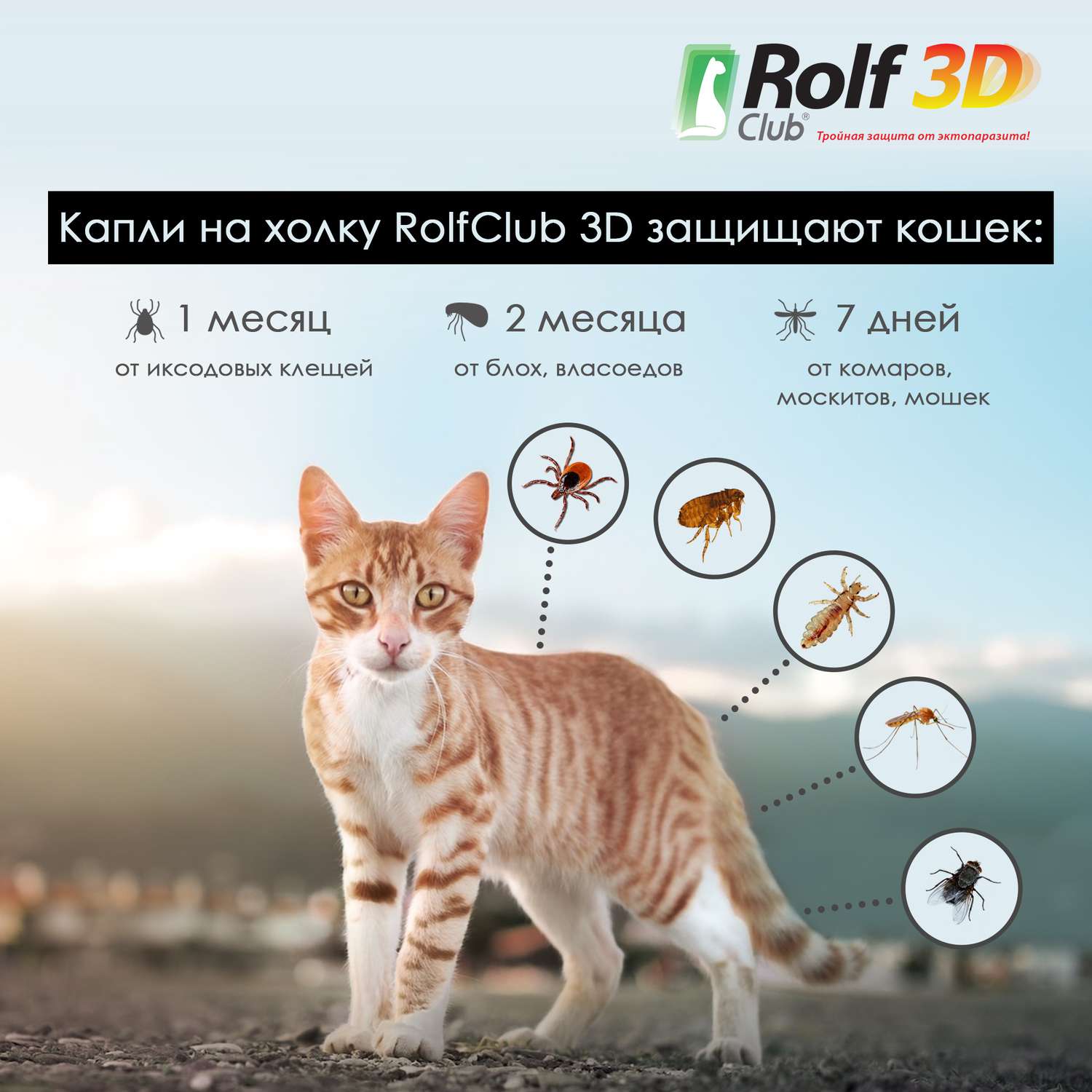 Капли для кошек RolfClub3D 8-15кг от блох и клещей 1.5мл - фото 4
