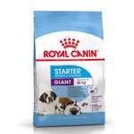 Корм для щенков ROYAL CANIN Starter очень крупных пород 4кг