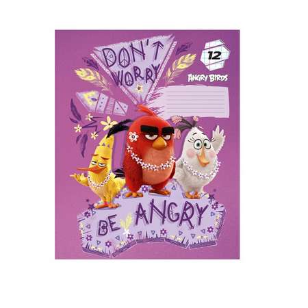 Тетрадь 12л Академия Холдинг клетка ANGRY BIRDS