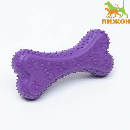 Игрушка Пижон жевательная «Объемная кость с лапками» TPR 12 см фиолетовая