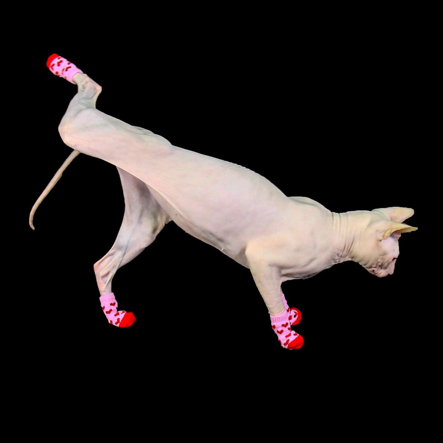 Носки для животных Пижон нескользящие «Сердечки» размер S 4 шт. розовые - фото 5