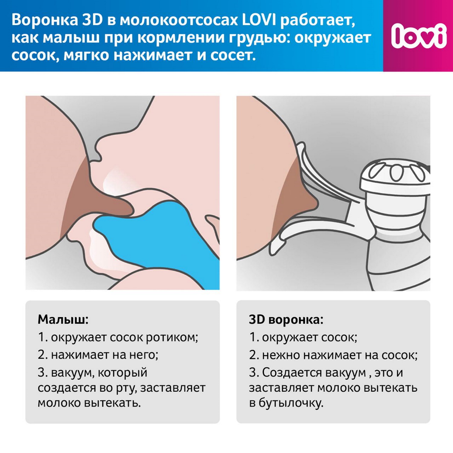 Внутриутробное развитие плода по неделям беременности