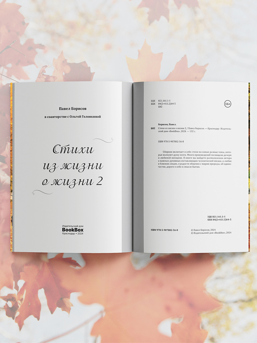 Книга BookBox Стихи из жизни о жизни 2 - фото 4