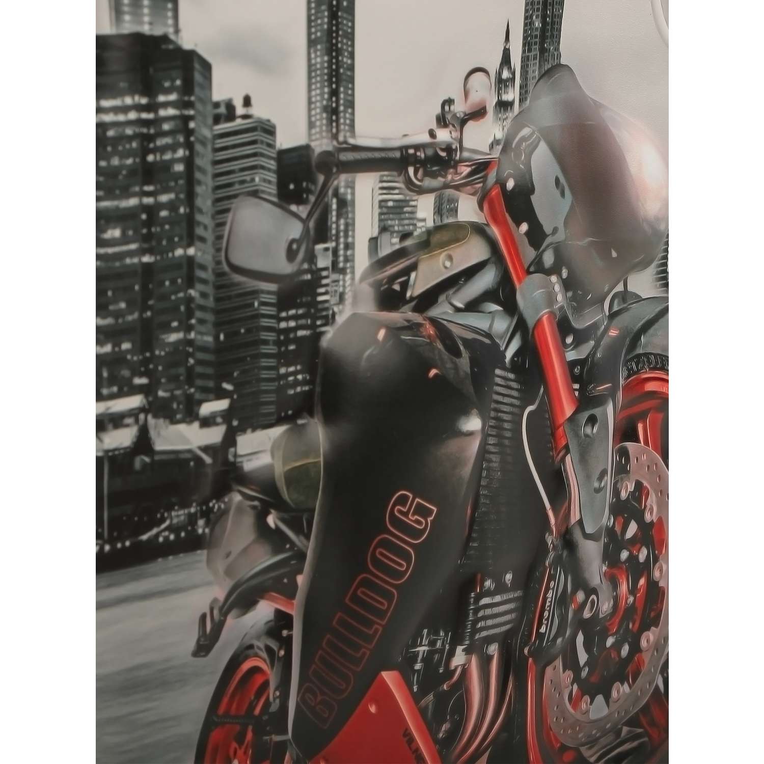 Рюкзак школьный с пеналом Little Mania Мотоциклы красный - фото 5