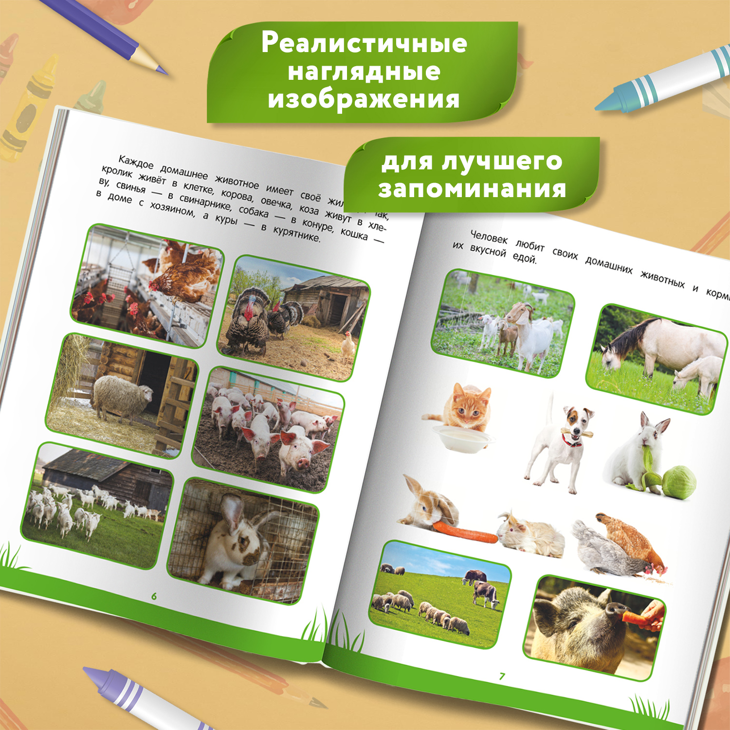 Книга Феникс Первая книга знаний Энциклопедия дошкольника 3-4 года - фото 4