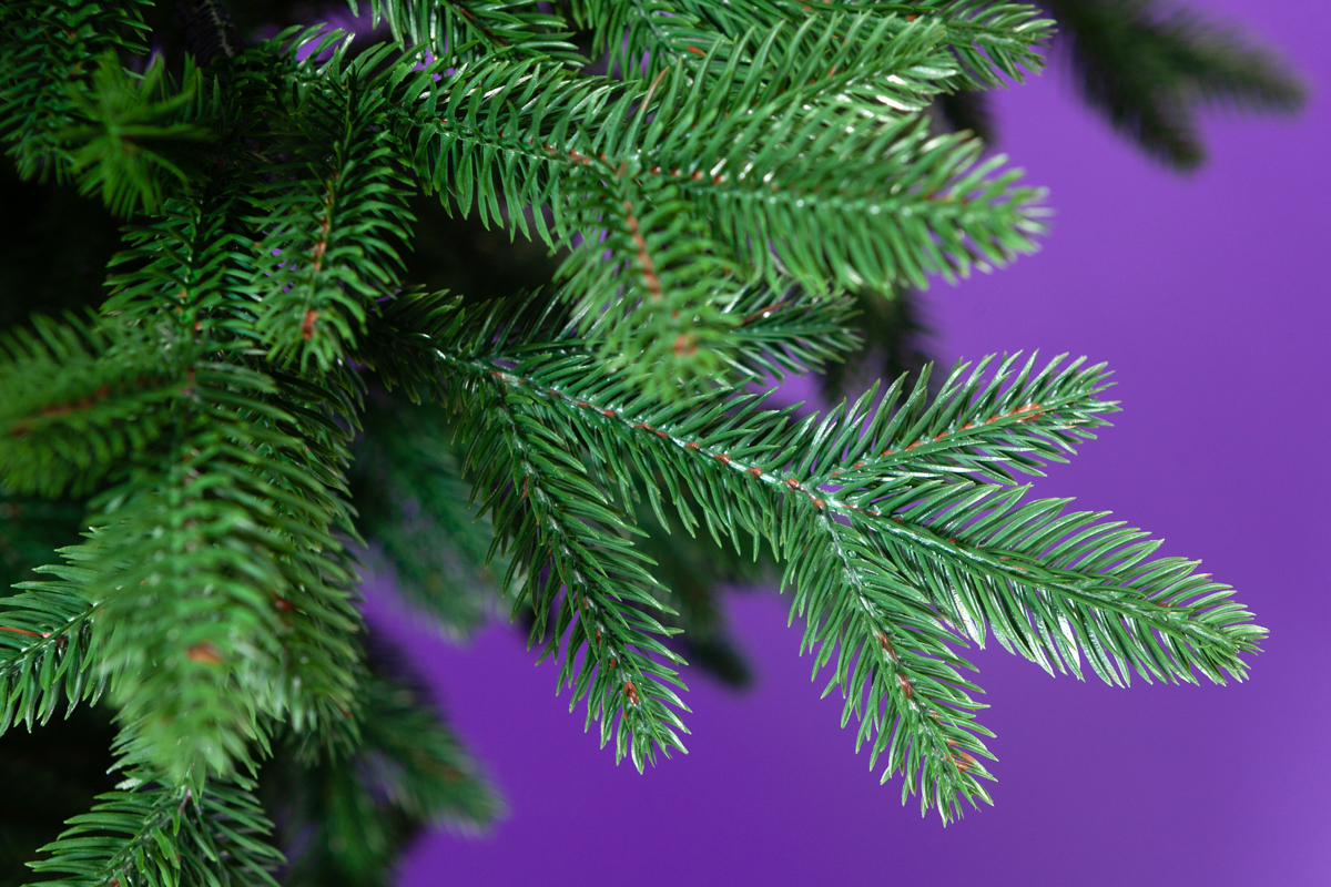 Елка Crystal Trees Зимняя Самба 180 См. - фото 7