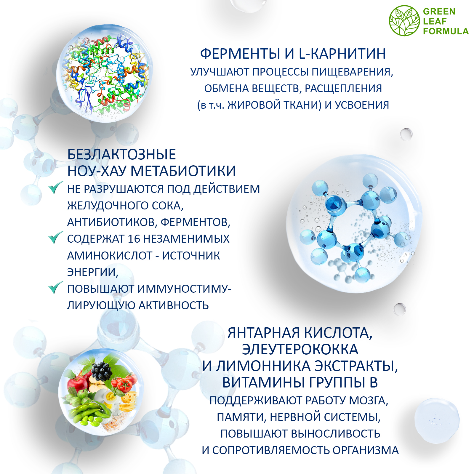 Метабиотик и Экстракт чеснока Green Leaf Formula пробиотики для кишечника ферменты для пищеварения витамины для сердца и сосудов - фото 5