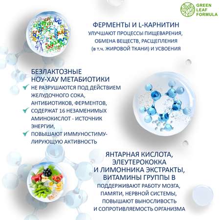 Метабиотик и Экстракт чеснока Green Leaf Formula пробиотики для кишечника ферменты для пищеварения витамины для сердца и сосудов 2 банки