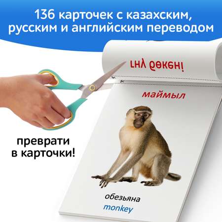 Набор книг Буква-ленд по методике Г Домана на казахском языке 8 шт