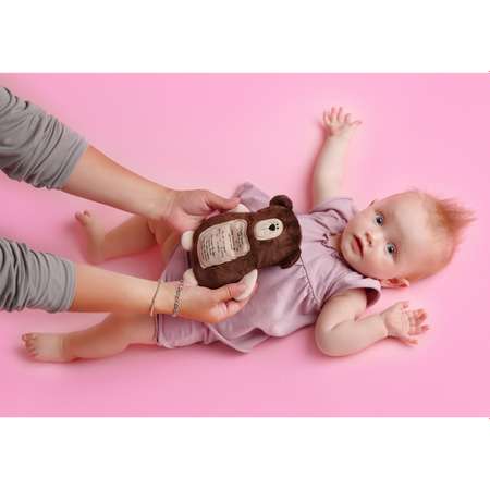 Мягкая игрушка Мякиши грелка с вишнёвыми косточками Мишка с метрикой для новорождённых от коликов подарок
