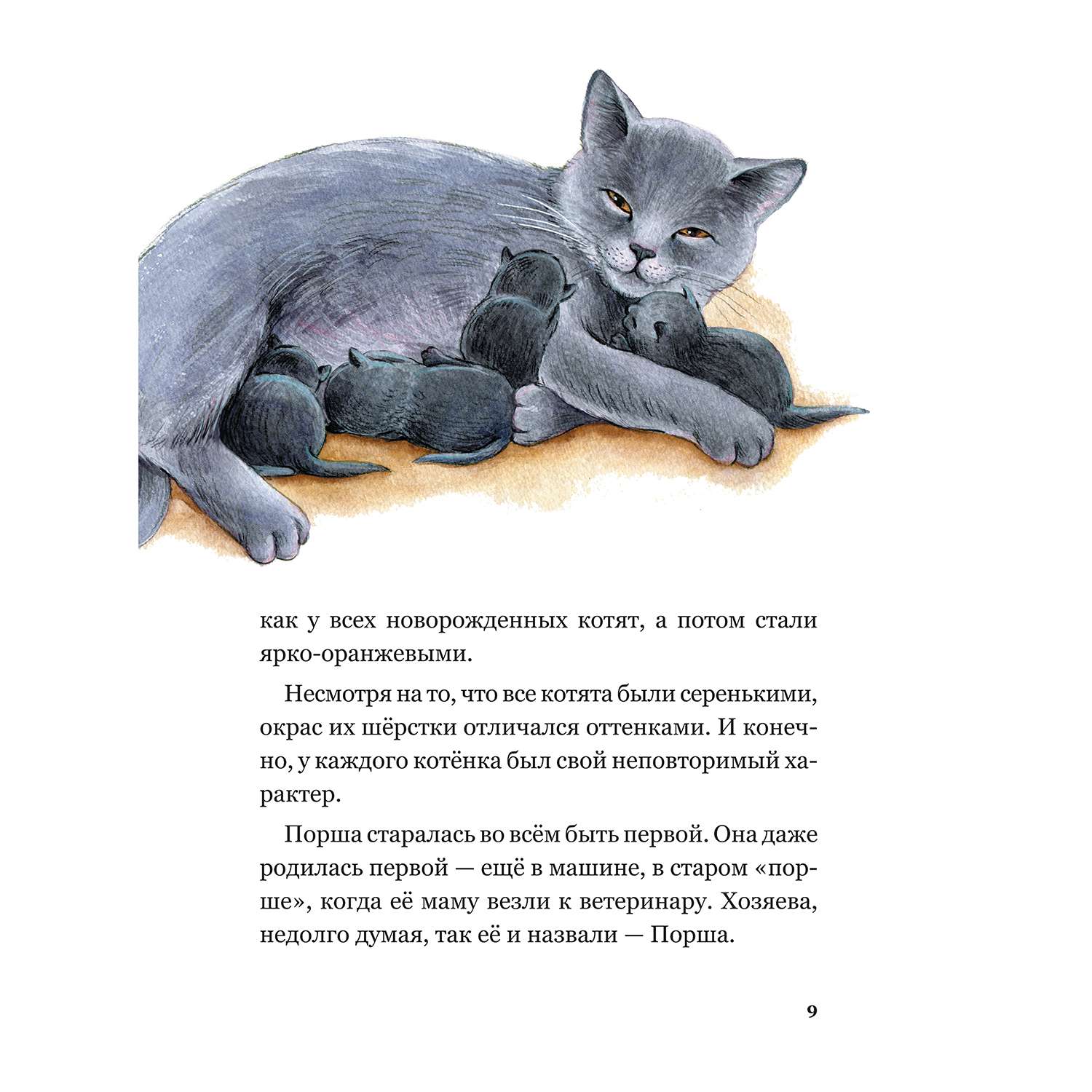 Книга Альпина. Дети Приключения кота Альфреда - фото 6