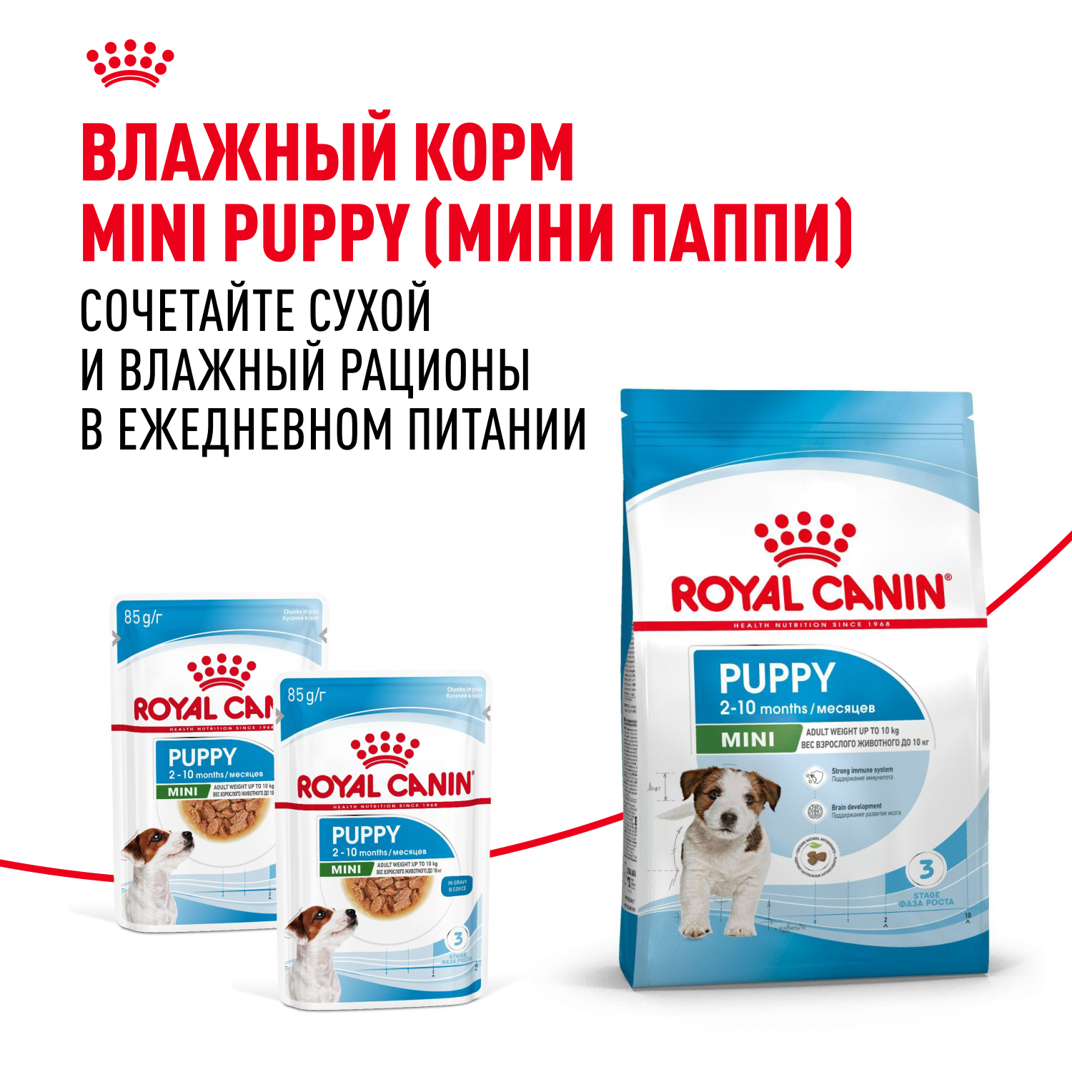 Корм для щенков ROYAL CANIN Puppy мелких пород 800г - фото 9