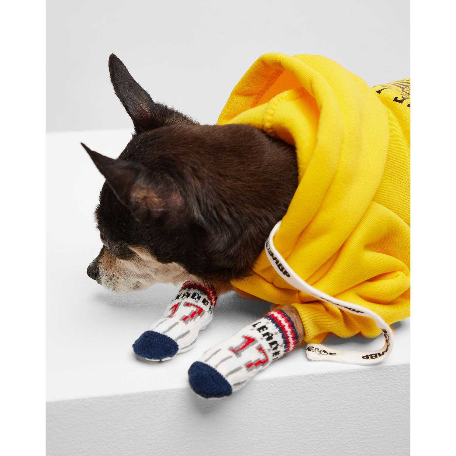 Носочки для собак резиновые купить в Киеве, Украине ᐉ ЗооФаворит