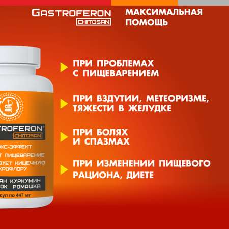 Бад VECTOR-MEDICA ГАСТРОФЕРОН ХИТОЗАН Куркумин Детокс Очищение организма